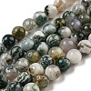 Natural Tree Agate Round Gemstone Beads Strands X-G-R255-6mm-1
