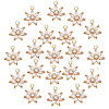 Brass Micro Pave Clear Cubic Zirconia Pendants KK-NB0001-19-1