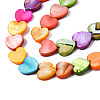 Natural Freshwater Shell Beads Strands SHEL-S278-024A-3