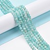 Natural Amazonite Round Beads Strands G-A025-01A-2
