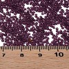 15/0 Transparent Czech Glass Seed Beads SEED-N004-004-19-6