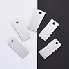 Tarnish Resistant 304 Stainless Steel Pendants STAS-I140-22A-1