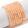 Natural Freshwater Shell Beads Strands SHEL-P017-01A-12-1