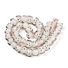 Handmade Lampwork Beads Strands LAMP-N021-42E-2