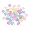Frosted Transparent Acrylic Beads FACR-C001-01G-1