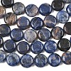 Natural Sodalite Beads Strands G-L648-B07-15mm-5