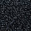 MIYUKI Round Rocailles Beads X-SEED-G008-RR0178-3