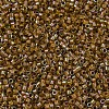 MIYUKI Delica Beads SEED-X0054-DB1738-3