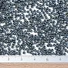 MIYUKI Round Rocailles Beads X-SEED-G007-RR0456-4