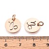304 Stainless Steel Charms STAS-Q201-T445-10R-3