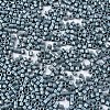 FGB 11/0 Grade A Baking Paint Glass Seed Beads X-SEED-S030-1040-2