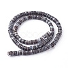 Shell Beads Strands SSHEL-E571-49G-2