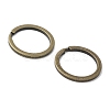 Iron Split Key Rings FIND-B046-06A-AB-2