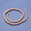 Natural Cultured Freshwater Pearl Graduated Beads Strands PEAR-P060-05B-01-2