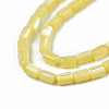 Natural Trochid Shell/Trochus Shell Beads Strands SHEL-N003-26-B10-3