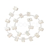 Natural White Shell Mother of Pearl Shell Beads BSHE-B005-06-2
