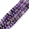 Natural Amethyst Beads Strands G-N327-07C-1