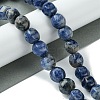 Natural Blue Spot Jasper Beads Strands G-H023-A07-01-2