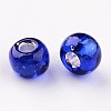 6/0 Round Silver Lined Round Hole Glass Seed Beads X-SEED-A005-4mm-28-2