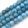 Natural Apatite Beads Strands X-G-S150-18-8mm-1