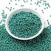 MIYUKI Round Rocailles Beads SEED-JP0009-RR0435-2