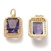 Brass Glass Charms X-ZIRC-F116-09B-G-2