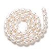 Natural Cultured Freshwater Pearl Beads Strands PEAR-L033-70-01-3