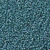 MIYUKI Delica Beads X-SEED-J020-DB1283-3