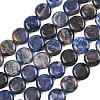 Natural Sodalite Beads Strands G-L648-B07-15mm-3