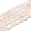 Natural Cultured Freshwater Pearl Beads Strands PEAR-N014-03H-2