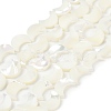 Natural White Shell Beads Strands SSHEL-10X12-1