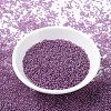 MIYUKI Round Rocailles Beads X-SEED-G007-RR0316-2