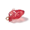 Transparent Resin Pendants RESI-E028-01G-03-3