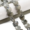 Natural Labradorite Beads Strands G-B022-32C-1