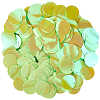 PVC Sequin Pendants KY-WH0083-009E-1