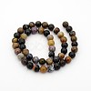 Natural Petrified Wood Round Bead Strands G-P070-69-4mm-2