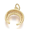 Brass Micro Pave Cubic Zirconia Pendants ZIRC-G166-06G-2