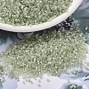 MIYUKI Delica Beads SEED-X0054-DB1765-1