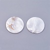 Shell Cabochons X-BSHE-P026-22-3