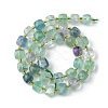 Natural Fluorite Beads Strands G-Q010-A12-01-3