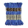 10 Skeins 6-Ply Polyester Embroidery Floss OCOR-K006-A21-1