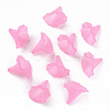 Transparent Acrylic Beads X-BSF796-C10-4