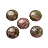 Natural Unakite Cabochons G-B085-02A-08-1