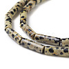Natural Dalmatian Jasper Beads Strands X-G-F247-21-3