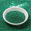 MIYUKI Round Rocailles Beads X-SEED-G009-RR0354-2