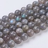 Natural Labradorite Beads Strands G-G212-8mm-23-1
