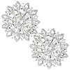 2Pcs Glass Hotfix Rhinestone DIY-GF0013-36B-1
