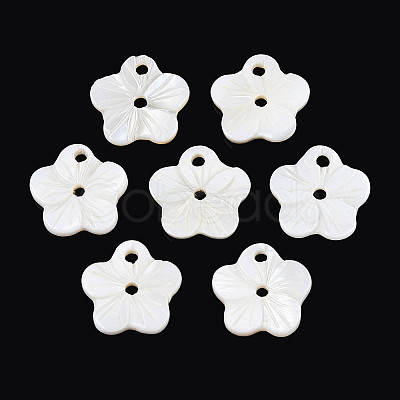 Natural Freshwater Shell Buttons SHEL-N038-11-1