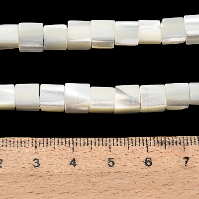 Natural Trochid Shell/Trochus Shell Beads Strands SHEL-C010-05A-1