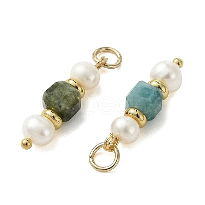 Natural Multicolor Tourmaline & Cultured Freshwater Pearl Pendants PALLOY-JF05307-1